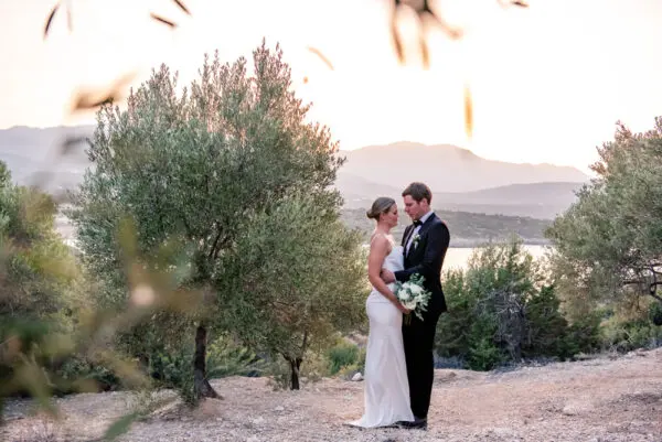 A great setting in the olive tree for a wedding ceremony