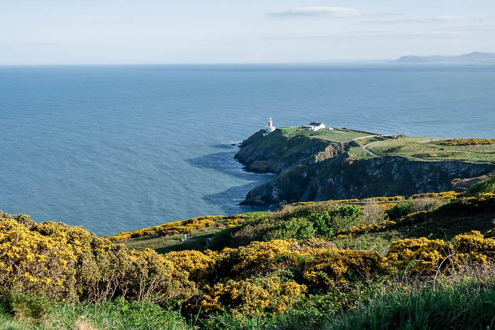 golden hour at howth creek for a elopement