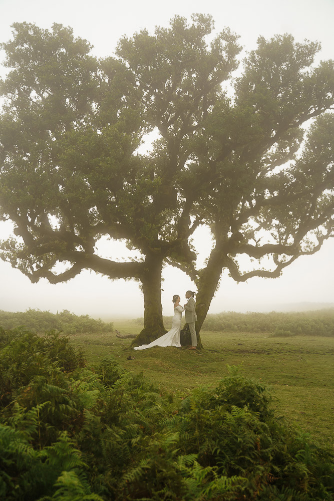 Love Session in Fanal Forest