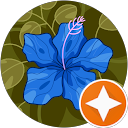 Jenna R. profile picture